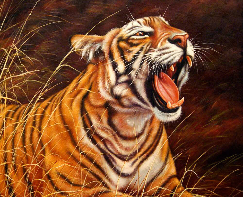 Картины тигра