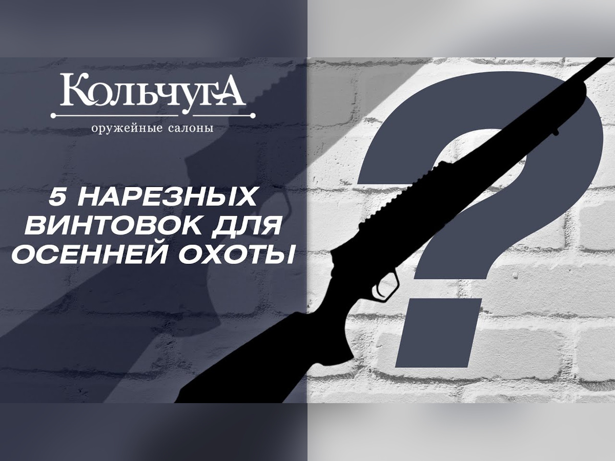 5 НАРЕЗНЫХ ВИНТОВОК ДЛЯ ОСЕННЕЙ ОХОТЫ
