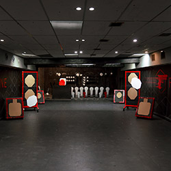 250(5).jpg