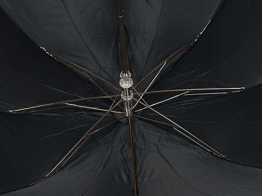 Зонт складной Pasotti Auto Fido Silver Oxford Black фото 5