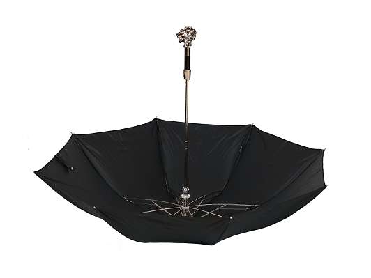 Зонт складной Pasotti Auto Leone Silver Oxford Black фото 4