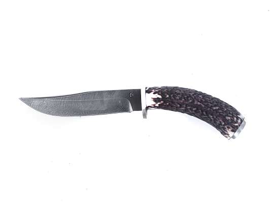 Нож Мангуст, дам. ст. дюраль, рог (3825) фото 1