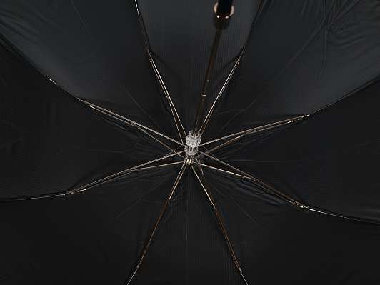Зонт складной Pasotti Auto Leone Silver Oxford Black фото 6